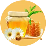 Gramajanya FPC Honey Production